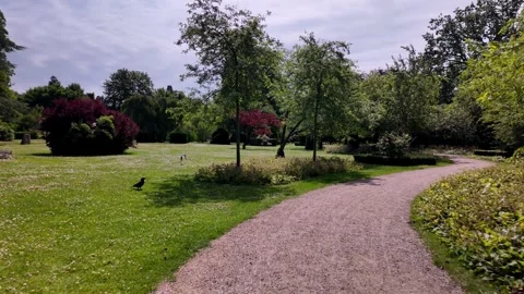 Walking Along Path in Sunny Frederiksberg Garden, Copenhagen Walking Along Path in Sunny Frederiksberg Garden, Copenhagen