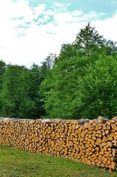 ???? ???? Stock Photos