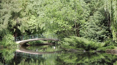 33 Park idyll. A bridge over pond lake. Video stock 39396285