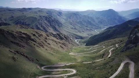 33 Parrots 스톡 동영상 162665509