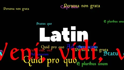 33 seconds of Latin language phrases moving around Stock Footage 301708265