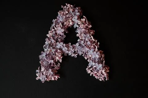 330A8982 Stock Photos