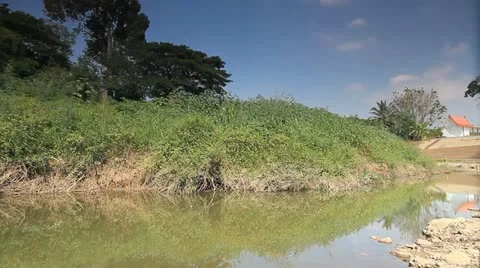 339 Stock-Footage 20087025