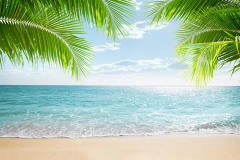 34- tropic view 写真素材
