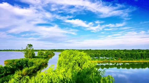 湖泊湿地生物多样性全景 Stock-Footage 340442809