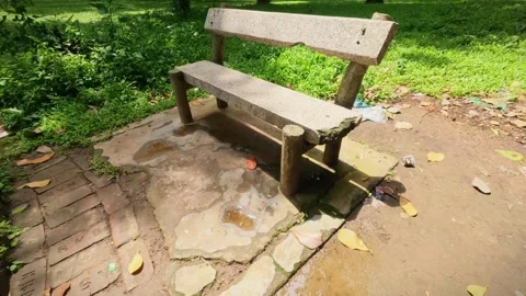 35 Slow Zoom-In on Empty Park Bench in Peaceful Green Setting Stock Footage 313648823