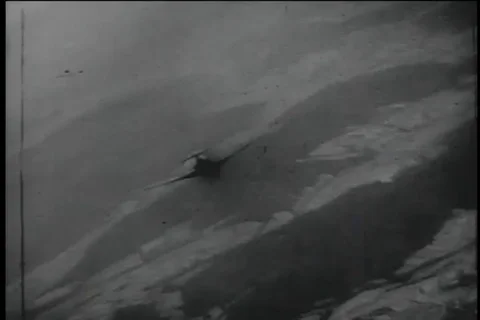 354th Fighter Group attack the opponents and destroy their aircraft - 1957 Stock Footage 99096339