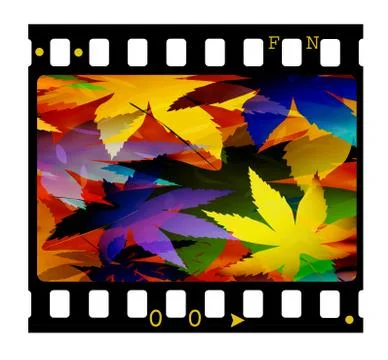 35mm film frames 스톡 일러스트