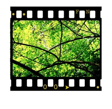 35mm film frames Illustrazione stock