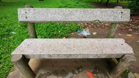 36 Slow Tilt Up of Empty Park Bench with Grass and Trees Stock Footage 313648827