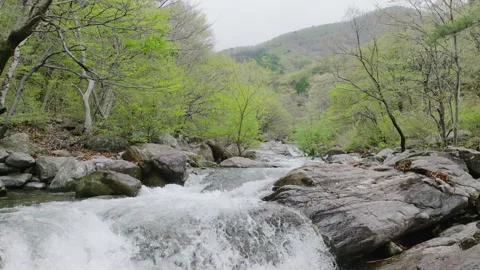 36.The view of the valley below the really famous mountain. Stock Footage 303513073