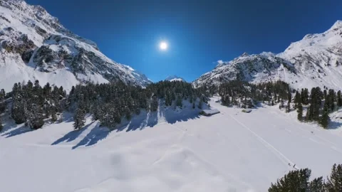 360 aerial view of snowy pine forest and mountains, Switzerland Stock Footage 341457026