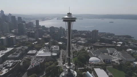 360 around the gorgeous space needle Stockbeeldmateriaal 317752880