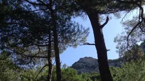 360 beautiful view of forest , mountains , sea and sky with clouds at cape Aya 6 Stock Footage 119308419