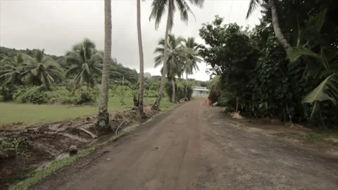 360 circle turning around view  at a backroad in tropical Pacific Cook Islands  Stock Footage 233672089