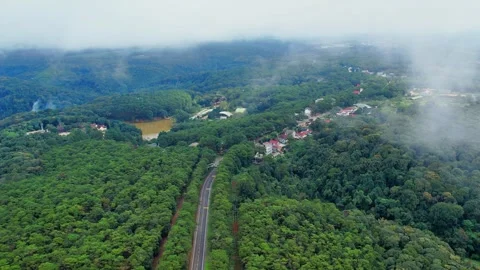360 degree aerial orbit of a mountain road in misty pine forest 4K Stock Footage 337331106