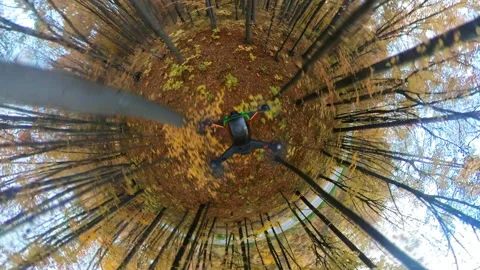 360 degree camera view of cinematic autumn october forest. Tiny planet. Drone Stock Footage 167919021