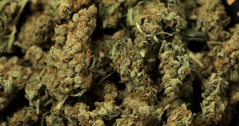 360 degree close up loop of cannabis marijuana buds Stock Footage 123901013