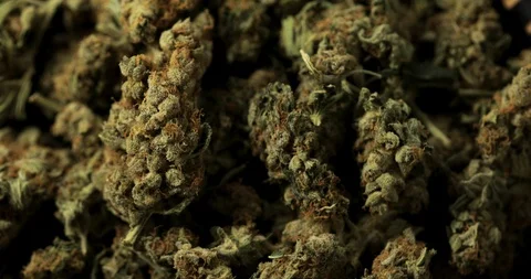 360 degree close up loop of cannabis marijuana buds Stock Footage 123901615