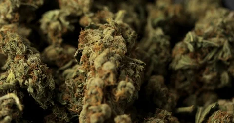360 degree close up loop of cannabis marijuana buds Stock Footage 123902090