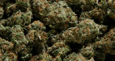 360 degree close up loop of cannabis marijuana buds Stock Footage 229866492