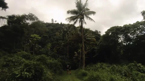 360 degree fast spinning view of mud primitive dirt glass hiking trail road rou Stock Footage 245441806