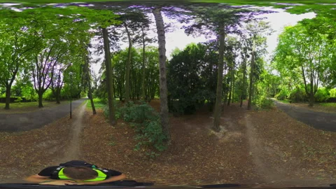 360-Degree Forest Walk Stock Footage 282502526