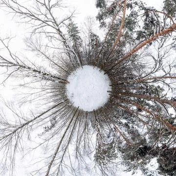 360 degree panoramic view of a winter forest, forming a tiny planet effect... Stock Photos