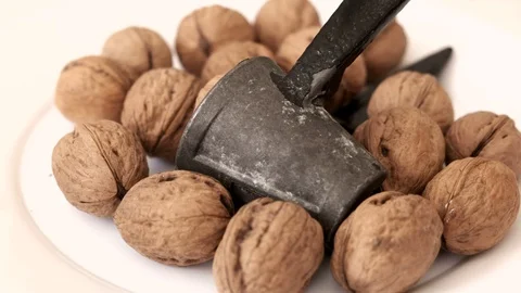 360 degree rotating stand shell walnut and walnut crushing apparatus, very cl 動画素材 126788560