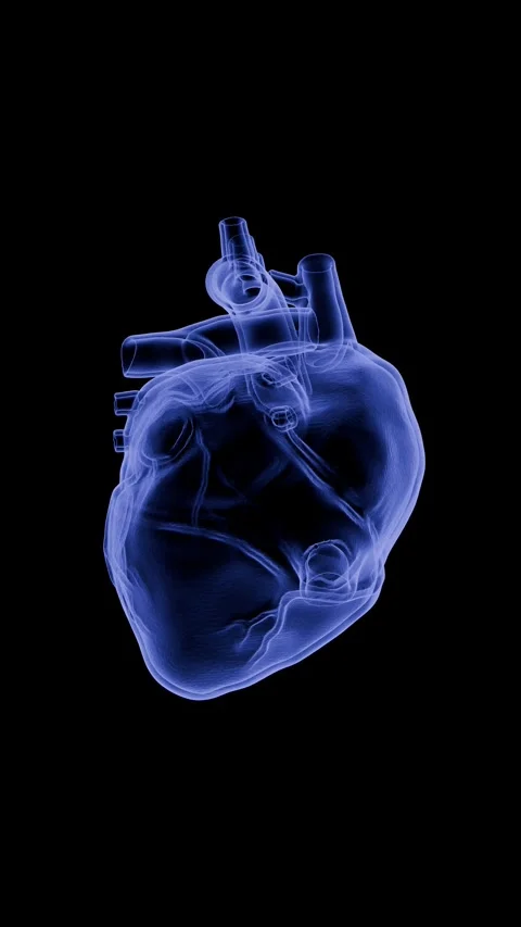 360-degree rotating X-ray hologram of the human heart showcasing detailed cardio Vídeo Stock 336859313