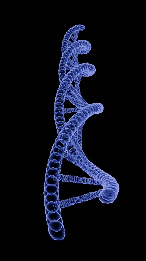 360-degree rotating X-ray hologram of a DNA double helix showcasing genetic stru Vídeo Stock 336859314