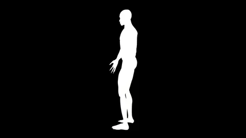 360 Degree Silhouette Rotation of Human Figure Stock Footage 341776980