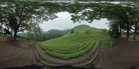 360 degree spherical panorama of Daehandawon in Boseong. Vidéo 112803545