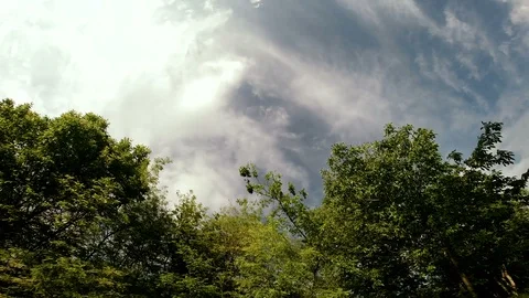 360 degree time lapse with clouds and trees 動画素材 87426163