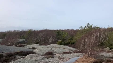 360 degree view of nature on Vrango island Sweden Stock Footage 234873475