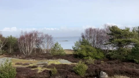 360 degree view of nature on Vrng island Sweden Vidéo 234875492