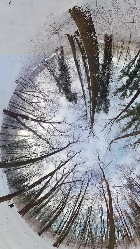 A 360-Degree View of a Snowy Forest Stock Footage 263835536