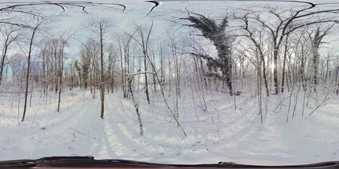 A 360-Degree View of a Snowy Forest Stock Footage 266784374