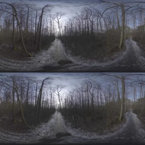 360-Degree Virtual Reality Walking Tour of a Snowy Forest Stock Footage 265871210