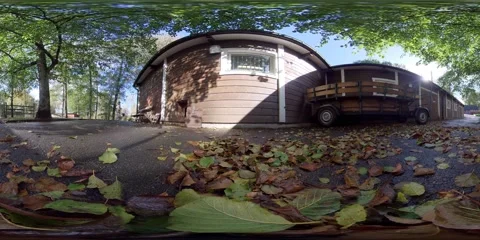 360 Degrees Hens and Rooster Walked Towards Camera, Looking At Camera Stock Footage 163665984