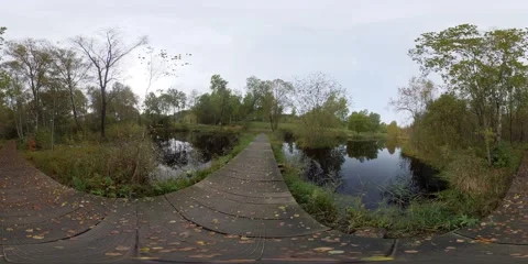 360 Degrees Pond With Walking Bridge, Tranquil Concept Stock Footage 163895629