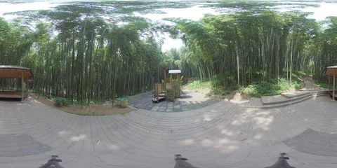 360 degrees spherical panorama of bamboo forest in Damyang. Stock Footage 112808454