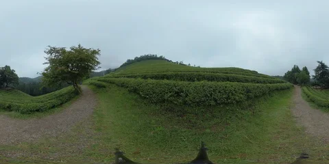 360 degrees spherical panorama of Daehandawon in Boseong. Stock Footage 112805459