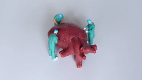 360 Degrees Video of Three Doctors Analyzing a Heart Model in Research Setting Stock Footage 285147324