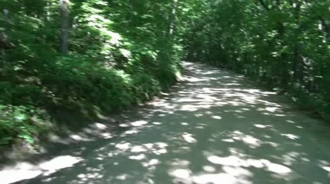 360 Of Dirt Road in Forest Video stock 12570773