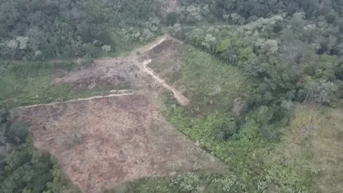 360 grados drone 4k bosque el castillo Stock Footage 169487958
