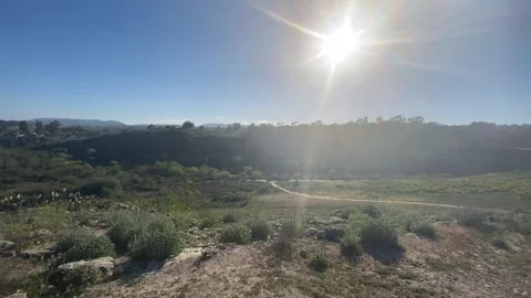 360 Laguna Beach Canyons  Vídeos de archivo 171631160