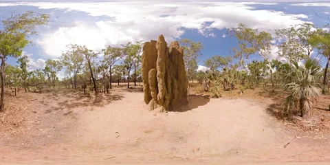 360 Nature Video - Termite Mounds - ID 541 Stock Footage