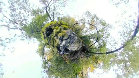 360 overcapture Trippy Forest Creek planet Stock Footage 87358272