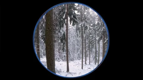 360 Panorama of a winter forest through a fisheye lens Stock Footage 317333791